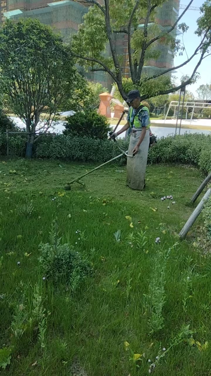 蕪湖碧桂園黃金時代綠化養護